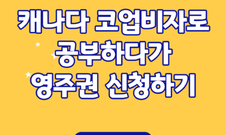 캐나다 코업비자 이제는 시작할 타이밍! 프로모션 안내!